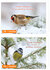 20 luxe kerstkaarten vogels