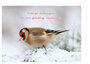 20 luxe kerstkaarten vogels