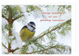 20 luxe kerstkaarten vogels