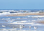 Texel ansichtkaarten