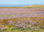 Texel ansichtkaarten