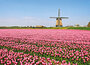 Postcrossing kaarten