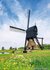 molen ansichtkaarten