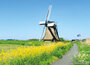 ansichtkaarten molen