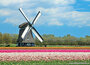 molen ansichtkaarten