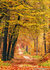 herfstkaarten set