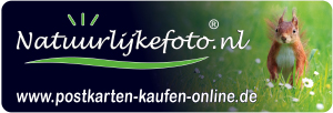 Logo Postkarten-kaufen-online.de